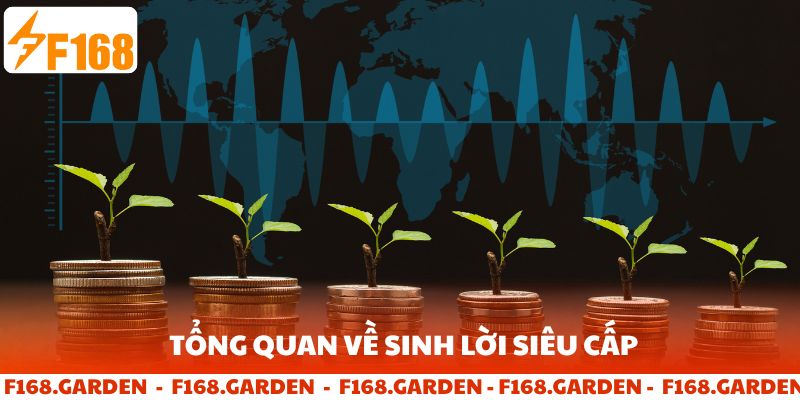 Tổng quan về sinh lời siêu cấp F168