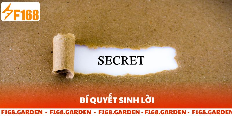 Bí quyết sinh lời siêu tốc từ cao thủ